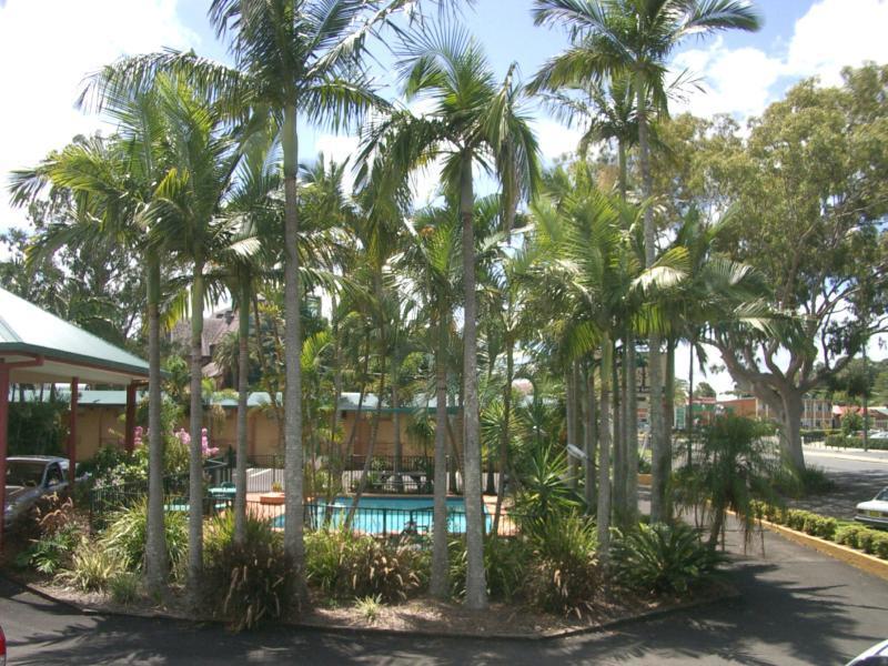 Lismore Fair Dinkum Motel Exteriör bild